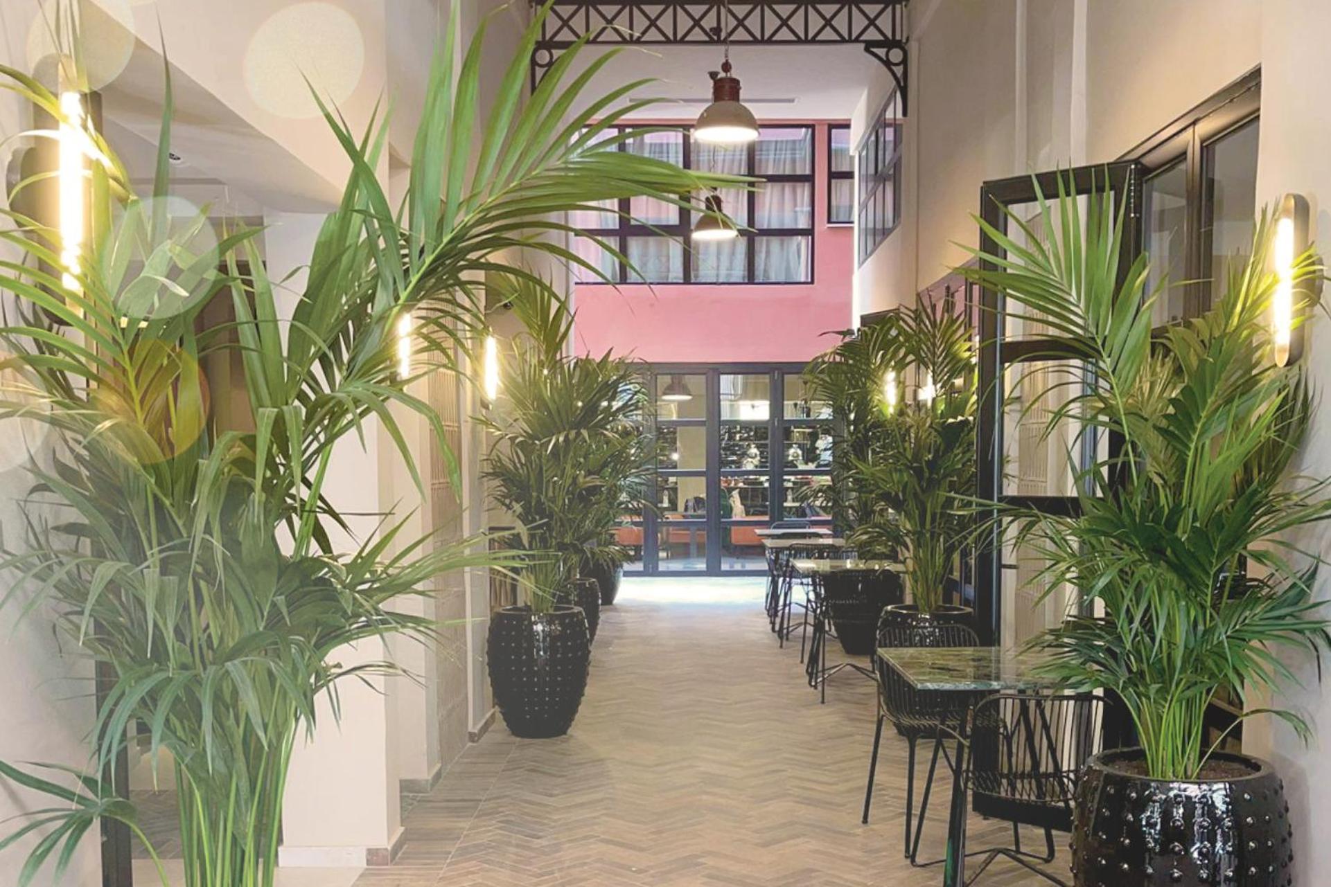 Anise, Aluma Hotels & Resorts 雅典 外观 照片